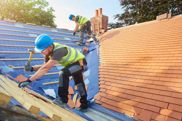 Best Roof Ventilation Installation  in Collins, MS